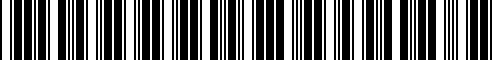 Code à barres pour 51115A3C863