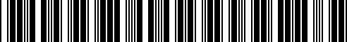 Code à barres pour 61136918703