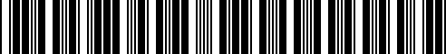 Code à barres pour 61353456655